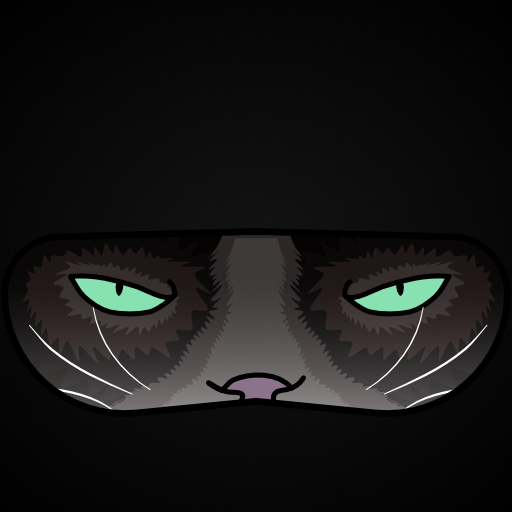 Catch Ninja icon