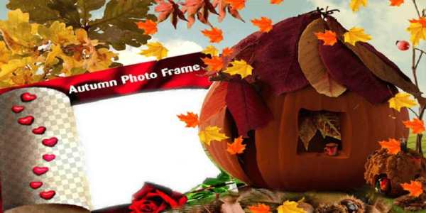 Autumn Photo Frames screenshot 1