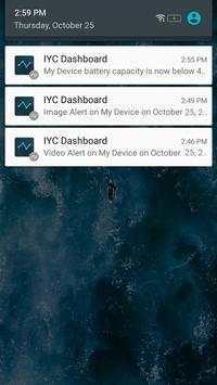IYC Dashboard скриншот 5