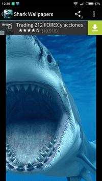 Shark Wallpapers screenshot 3