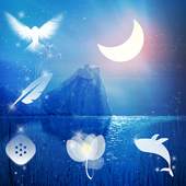 beautiful moon 1.1.1