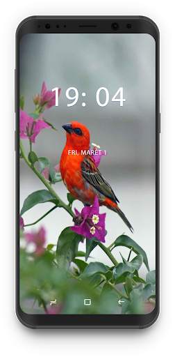 Bird Wallpapers 🦜 screenshot 5