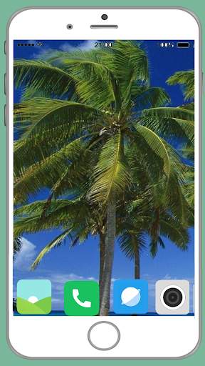 Palm Tree Full HD Wallpaper screenshot 9