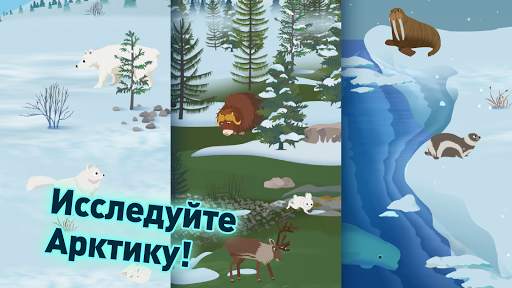 MarcoPolo Arctic скриншот 1
