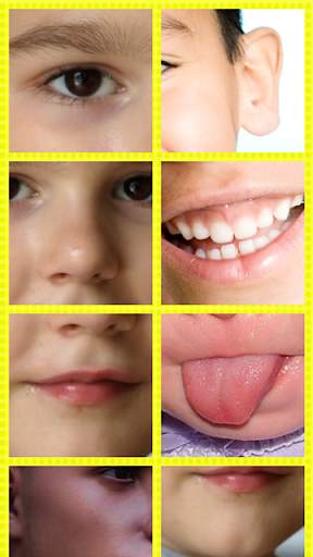 Kids Learning My Body Parts screenshot 2