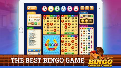 Bingo Country Vibes-Live Games screenshot 1
