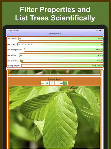 Forest Tree Identification скриншот 9