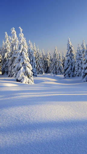 Winter Wallpapers : backgrounds hd screenshot 7