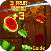 Guide For Fruit Ninja 1