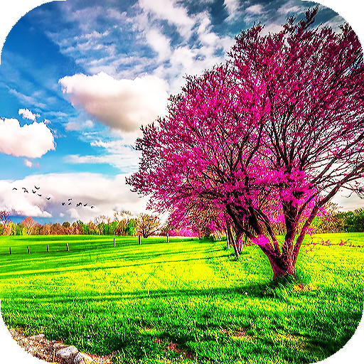 Spring Wallpapers : backgrounds hd icon
