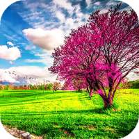 Spring Wallpapers : backgrounds hd on 9Apps
