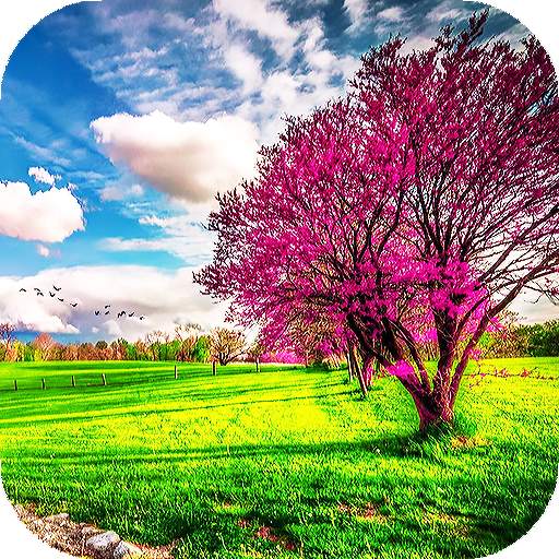 Spring Wallpapers : backgrounds hd 4.0
