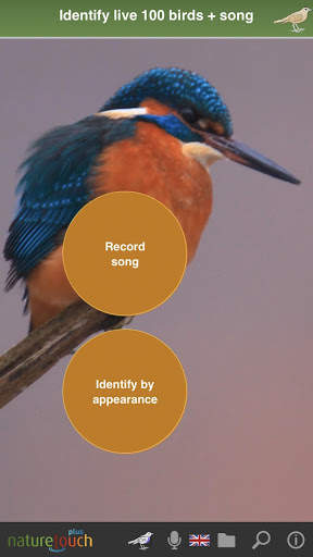Identify live bird songs, naturetouch screenshot 1