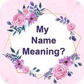 My Name Meaning 1.0