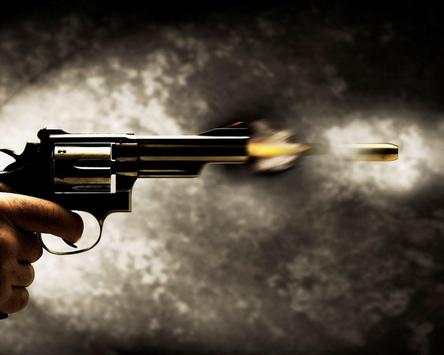 Revolvers Themes screenshot 5