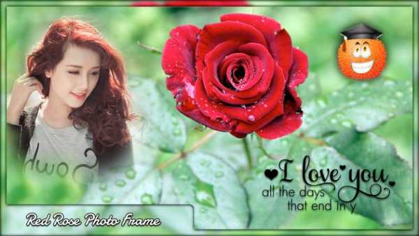 Red Rose Photo Frames screenshot 3