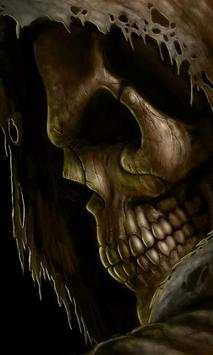 Skull Wallpapers screenshot 5