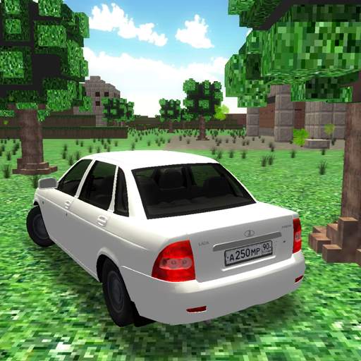 Driver Steve: Priora simulator 2.0