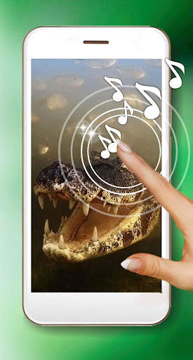 Crocodiles live wallpaper screenshot 1