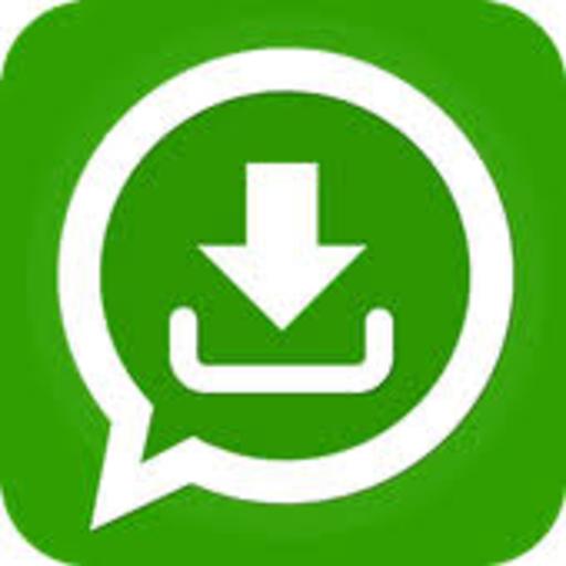 status saver icon