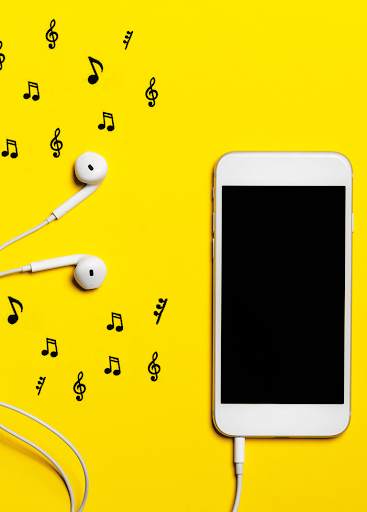 🎵 Free Music Downloader screenshot 7