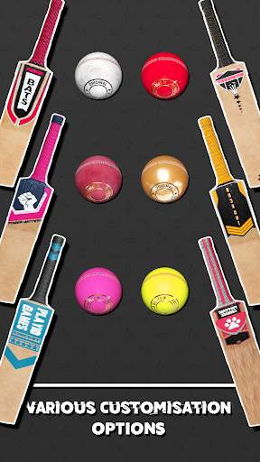 World Cricket Ball Challenge screenshot 1