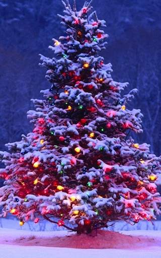 HD Christmas Live Wallpaper screenshot 5