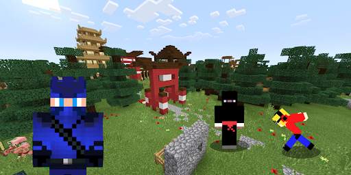 Meme Ninja Skin for Minecraft screenshot 4