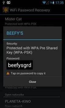 WiFi Passwords Recovery Pro screenshot 1