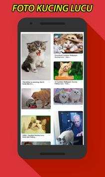 Gambar Foto Kucing Lucu screenshot 2