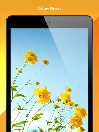 My Flowers Colors HD WALLPAPER screenshot 10