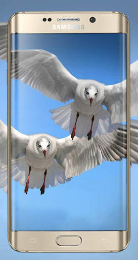 Bird HD Wallpaper screenshot 4