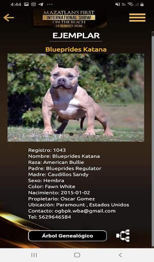 Wba registry screenshot 2