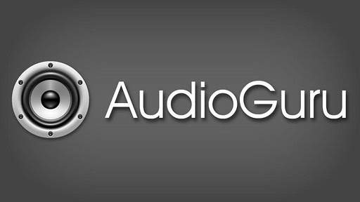 AudioGuru   Widgets screenshot 1