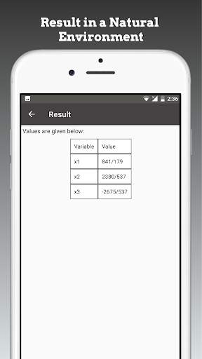 Linear Equation System Solver screenshot 3