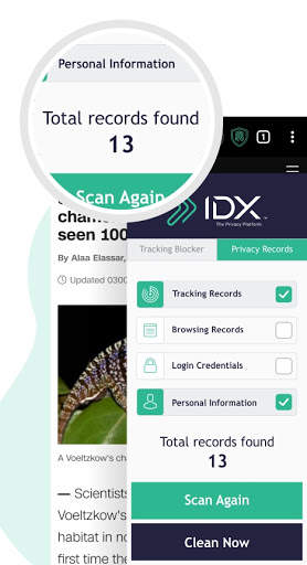 IDX Privacy Browser screenshot 2