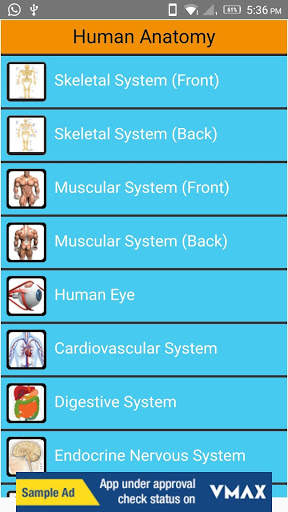 Human Anatomy: Body Parts Guide screenshot 1