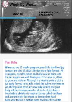 Pregnancy Stages screenshot 7