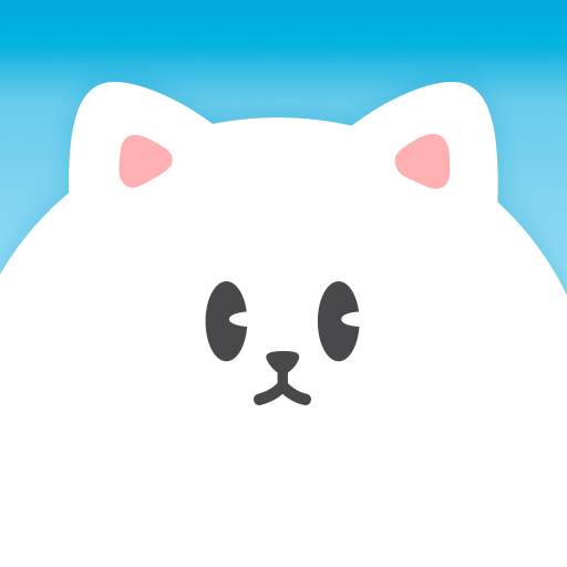 Cotton Kitty-Weather Forecast 2.5.04