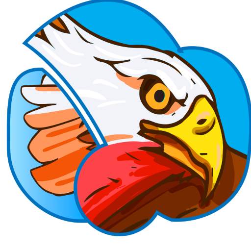 Sky Seagull VPN 1.2