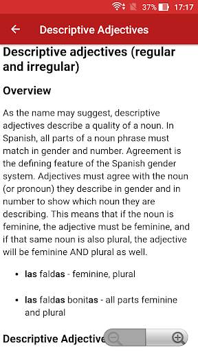 Spanish Grammar Offline screenshot 3