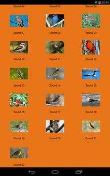 HD Bird Sounds screenshot 2
