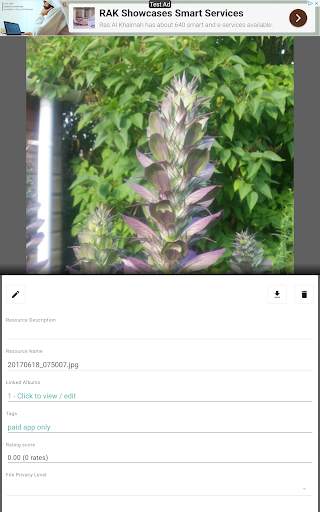 Piwigo Client - Free screenshot 19