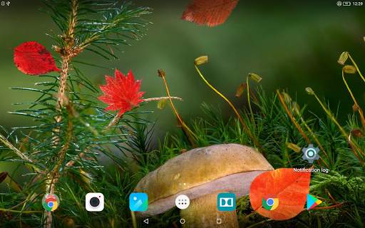 Beautiful Autumn Live Wallpaper screenshot 10