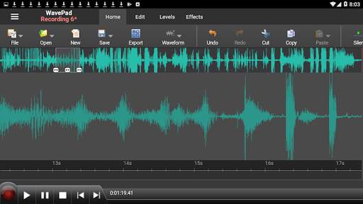 WavePad Audio Editor - Master's Edition screenshot 1