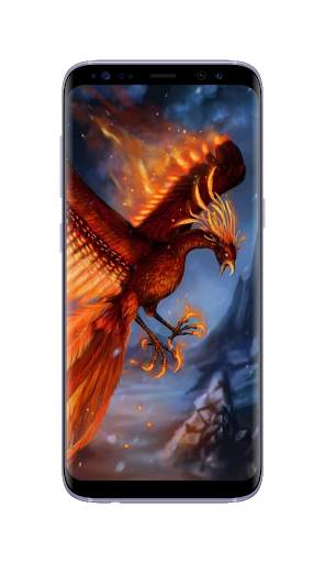 Phoenix Wallpapers HD screenshot 9