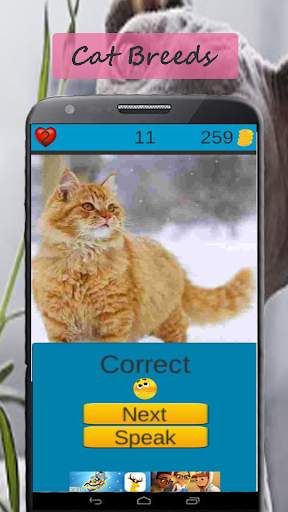 Cat Breeds: Cat Games screenshot 5