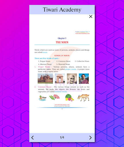 Class 3 English Grammar Book screenshot 22