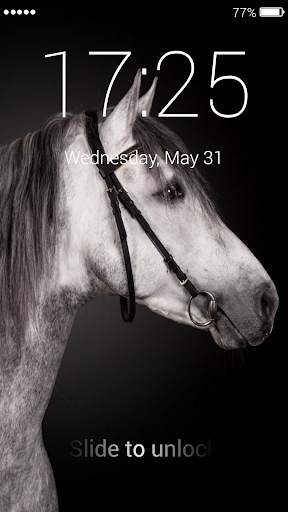 Horses Lock Screen 3 تصوير الشاشة