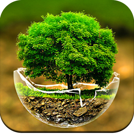 Tree Wallpaper icon